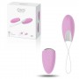 PACK EXCLUSIVO HUEVO VIBRADOR RECARGABLE R1 OVO ROSA CON REGALO DE TESTER Y LUBRICANTE CRUSHIOUS 250ML