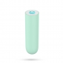QUACKERS USB RECHARGEABLE VIBRATING BULLET MINT GREEN CRUSHIOUS