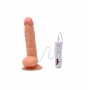 CANDY LUST VIBE REALISTIX REALISTIC VIBRATOR 10V - MOD.3 - 22CM 