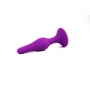 PLUG ANAL MÉDIO ROXO INTIMEN