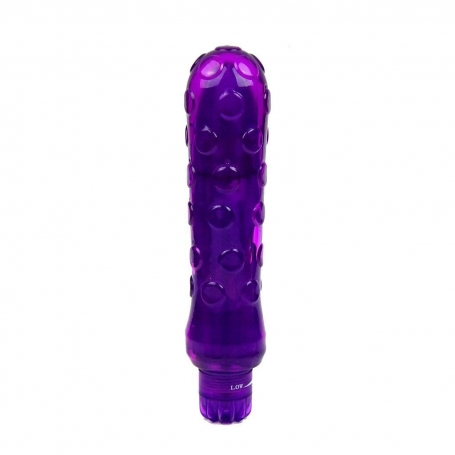 VIBRATEURCIRUELA VIOLET LIBID TOYS