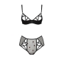 PASSION LOVELIA BIKINI 2 PEACE SET BLACK