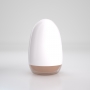 CRUSHIOUS EZY EGG ANAL MASTURBATOR EGG
