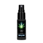 PHARMQUESTS CBD CANNABIS PHEROMONE STIMULATOR FOR HIM 0.5 FL OZ 15 ML