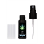 PHARMQUESTS CBD CANNABIS PHEROMONE STIMULATOR FOR HIM 0.5 FL OZ 15 ML