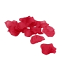 PÉTALOS DE ROSAS ROJAS LE DÉSIR