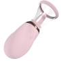 POMPE RÉCHARGEABLE POUR LA VULVE ET LE SEIN BOOST ROSE PUMPED