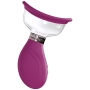 POMPE POUR VULVE ET SEINS DELIGHTFUL ROSE PUMPED 