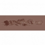 MASTURBATORE RAW THE GRIP TPE SMALL 137G BROWN XKIN