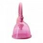 Image: TIMELESS BREAST CUP on Prazer24 Sex Shop Online